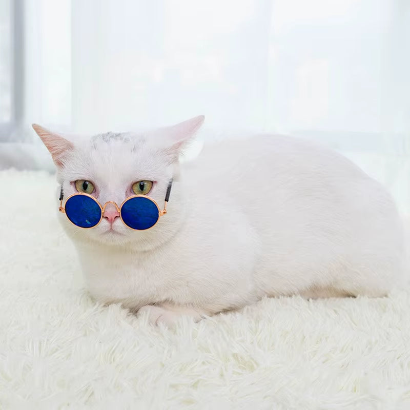 Cat Sunglasses (Cool Edition) UV Pro