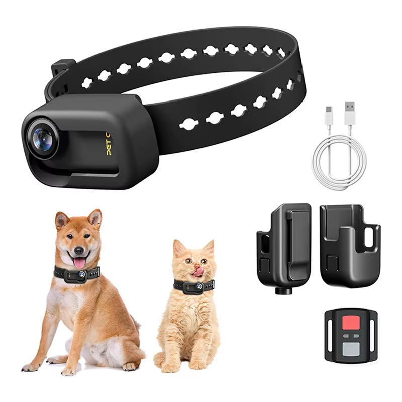 4K 30Hz Pet Collar Camera (Chipawpaw's Choice)