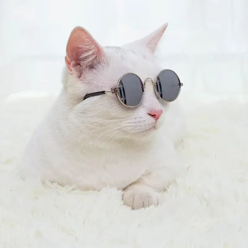 Cat Sunglasses (Cool Edition) UV Pro