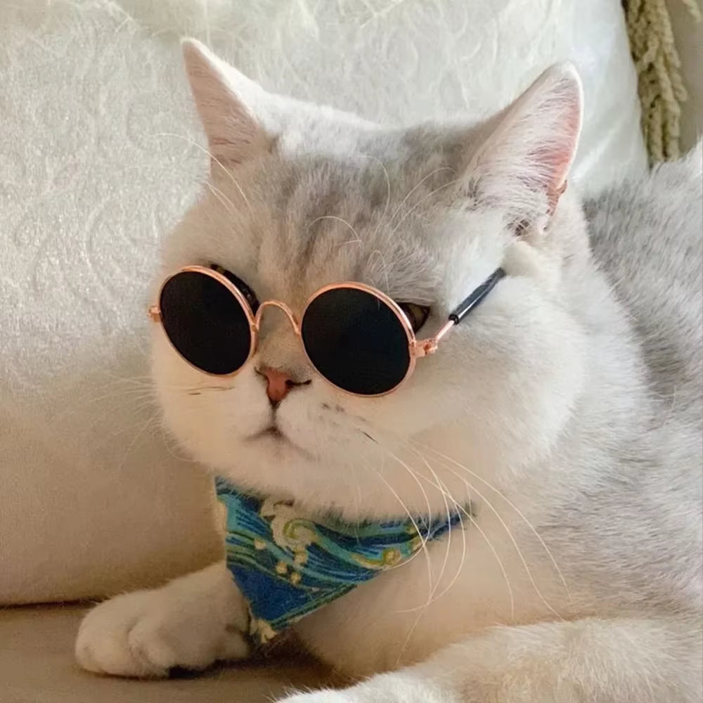 Cat Sunglasses (Cool Edition) UV Pro