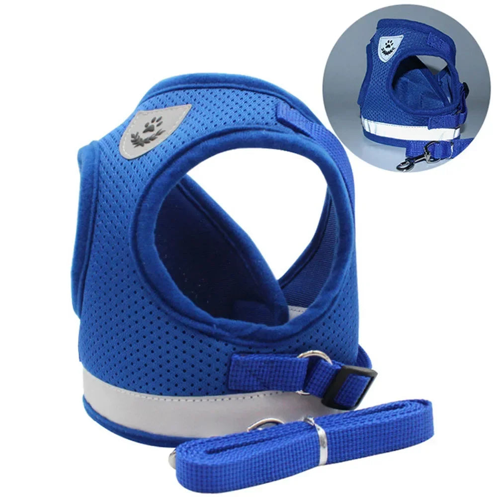 Harness Set Leash Carrier (XS - XL Pets)