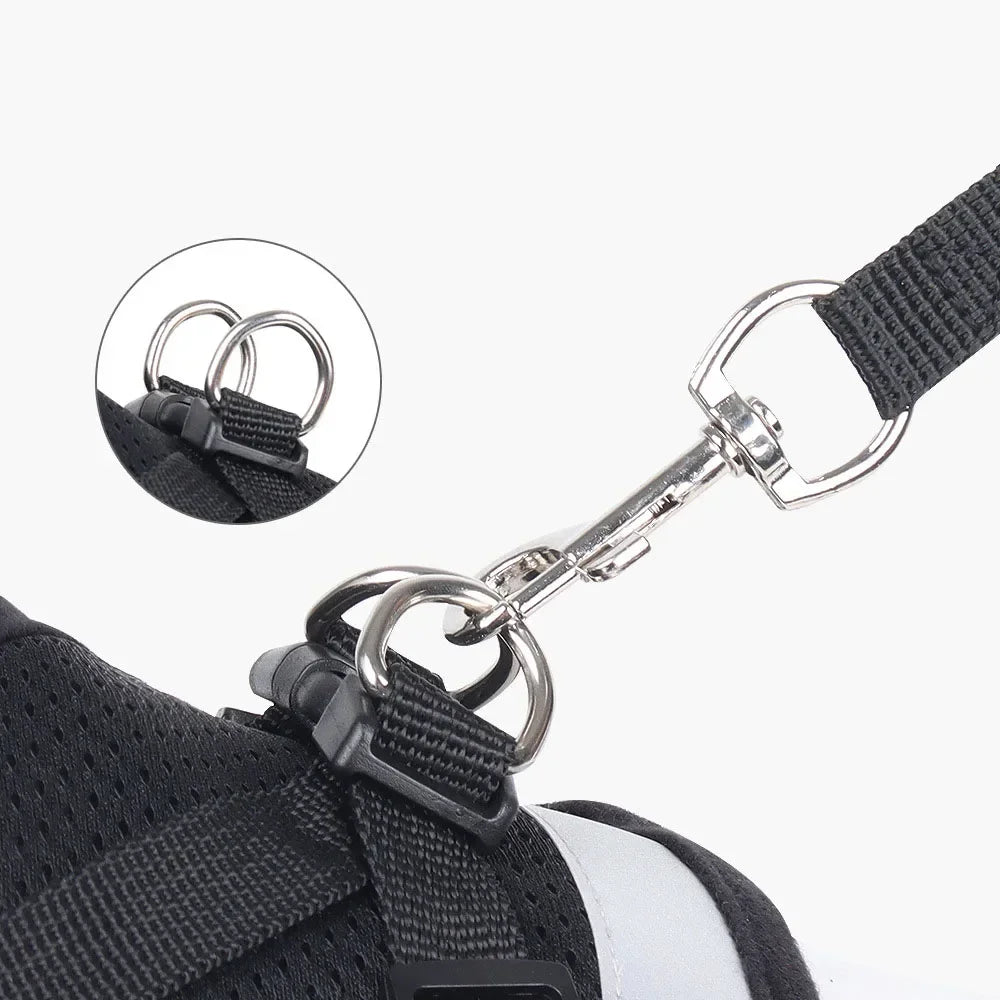 Harness Set Leash Carrier (XS - XL Pets)