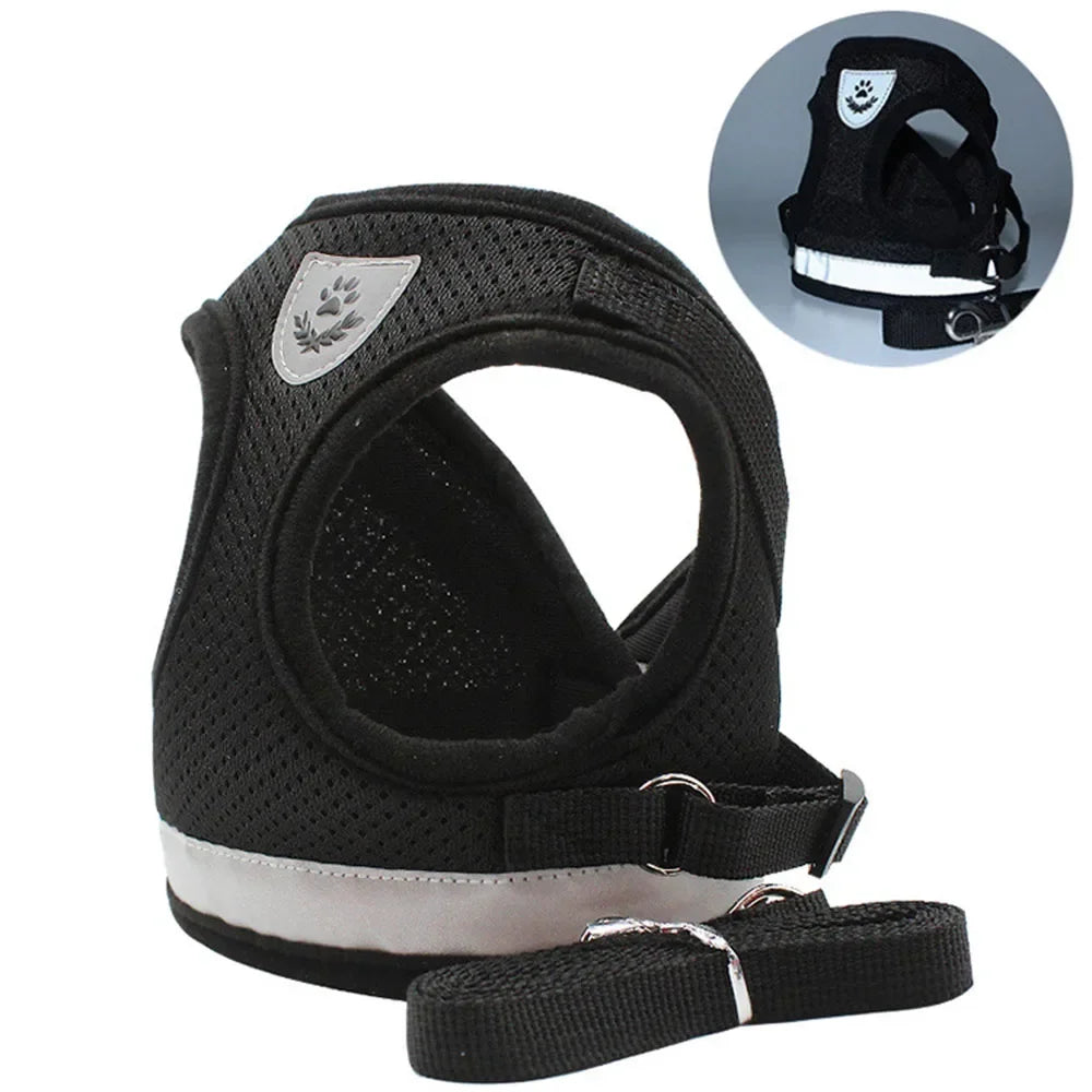 Harness Set Leash Carrier (XS - XL Pets)