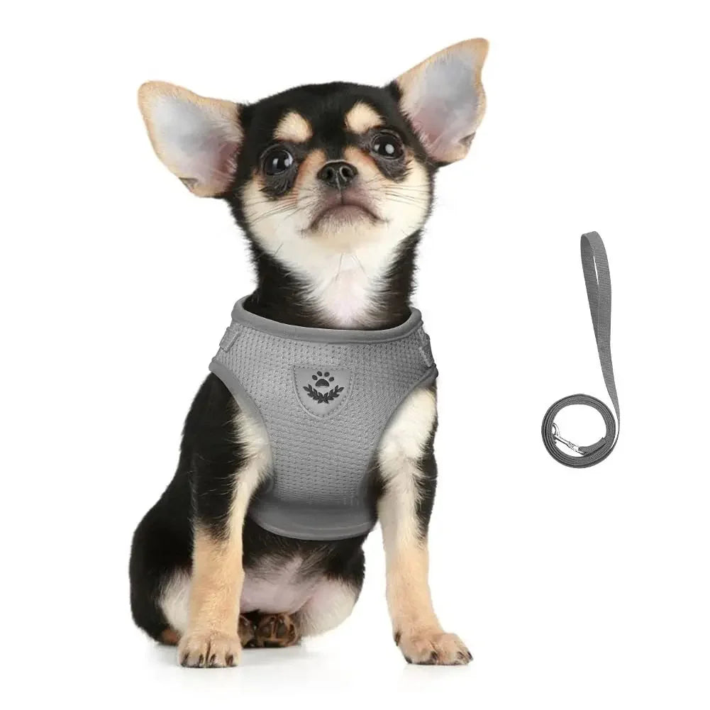 Harness Set Leash Carrier (XS - XL Pets)