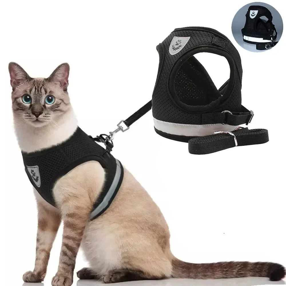 Harness Set Leash Carrier (XS - XL Pets)