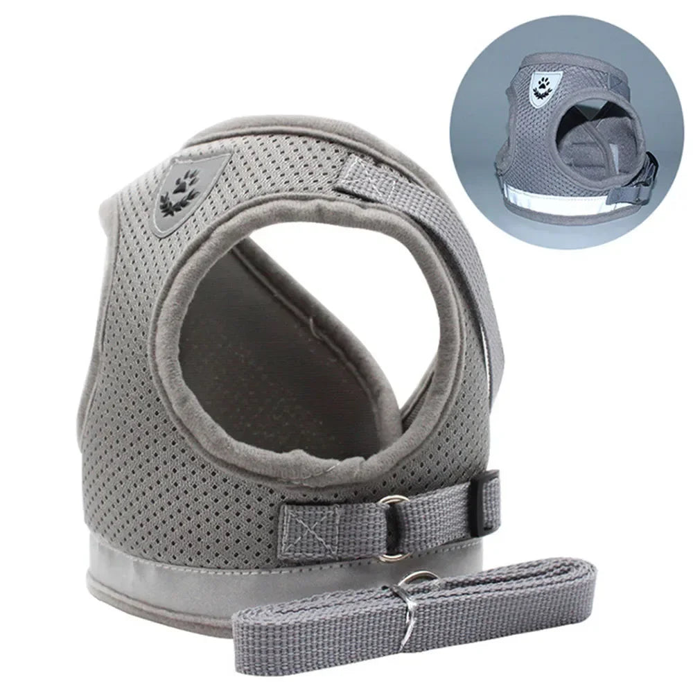 Harness Set Leash Carrier (XS - XL Pets)