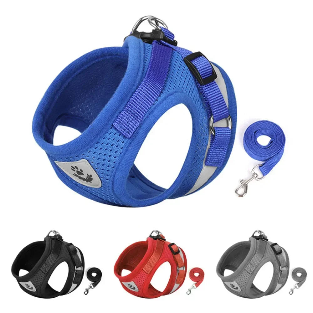 Harness Set Leash Carrier (XS - XL Pets)