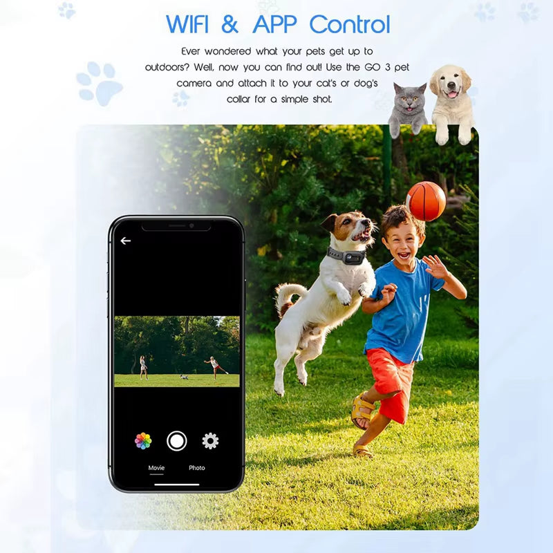 4K 30Hz Pet Collar Camera (Chipawpaw's Choice)