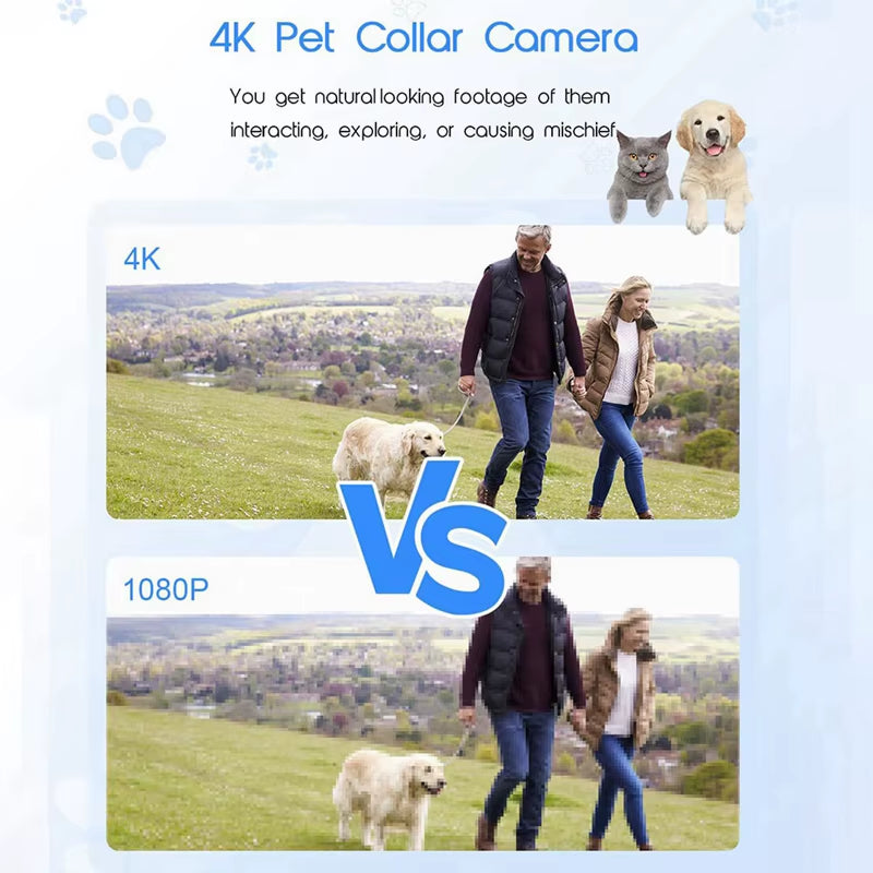 4K 30Hz Pet Collar Camera (Chipawpaw's Choice)
