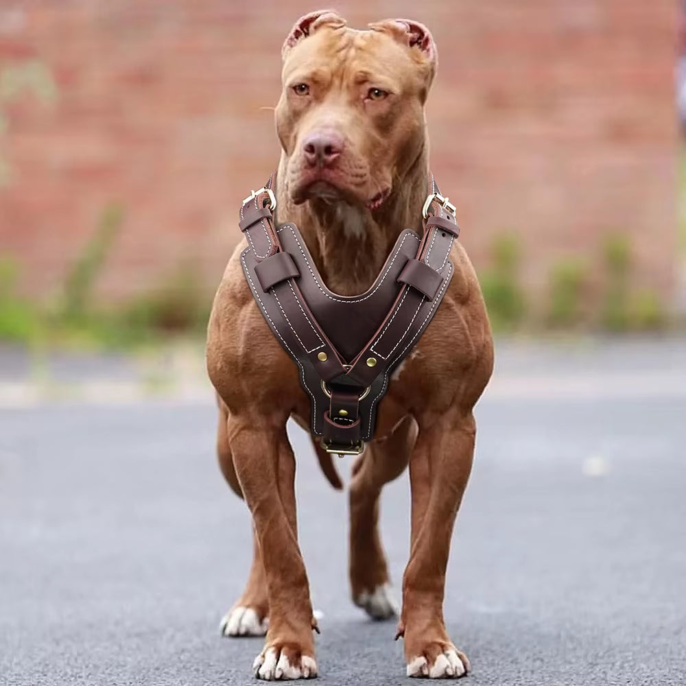 Dog Harness Genuine Leather Vest 