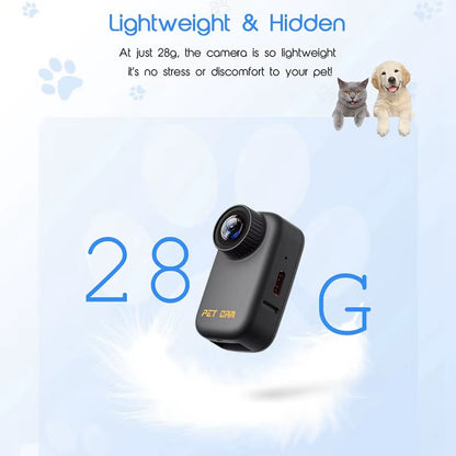 4K 30Hz Pet Collar Camera (Chipawpaw's Choice)