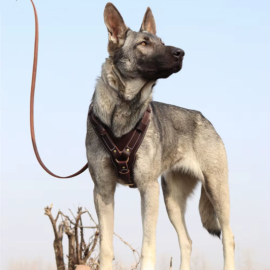Dog Harness Genuine Leather Vest 