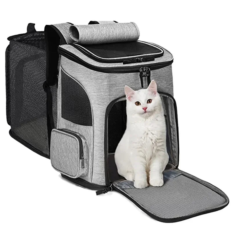Backpack Pet Carrier (Foldable) Large Capacity
