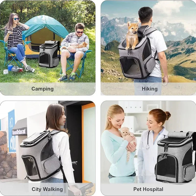 Backpack Pet Carrier (Foldable) Large Capacity
