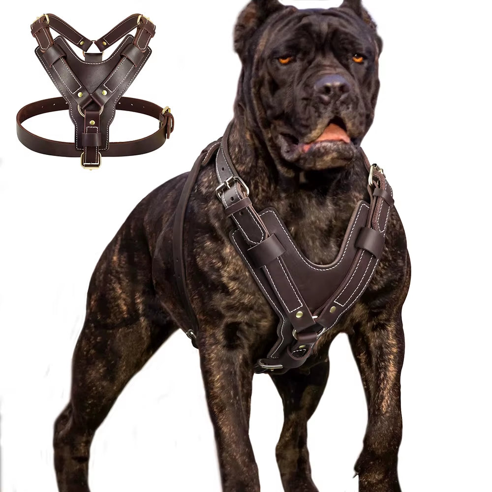 Dog Harness Genuine Leather Vest 
