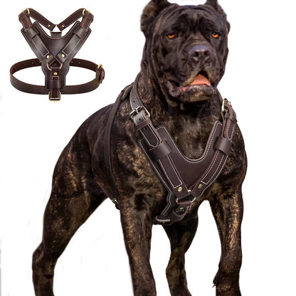 Dog Harness Genuine Leather Vest 