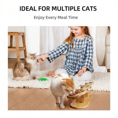 Cat 3 Bowls in 1 Feeder Feeding & Watering Supplies Food Bowl 15-Degree Tilt Raised Puppy 3 Stainless Steel Bowls Wood Brackets