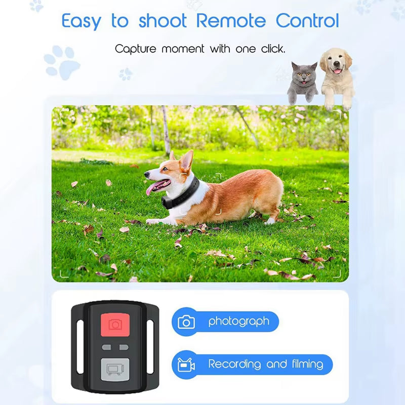 4K 30Hz Pet Collar Camera (Chipawpaw's Choice)
