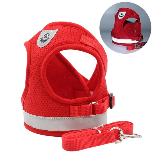 Harness Set Leash Carrier (XS - XL Pets)