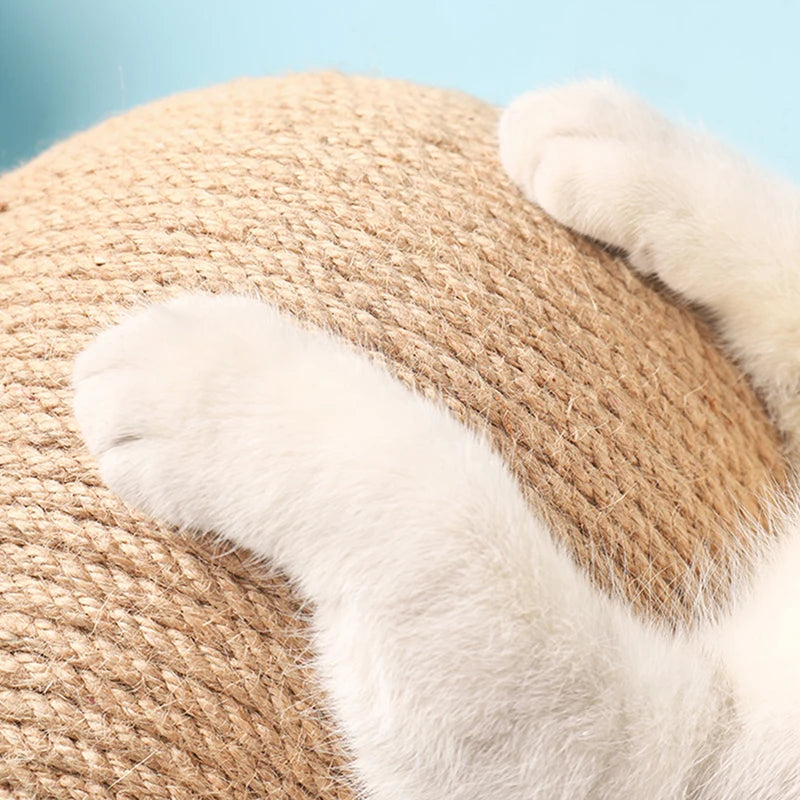 Cat Scratching Ball (A+)
