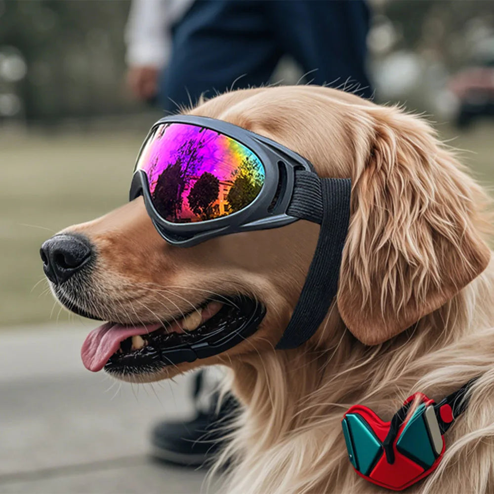 Dog Goggles Medium/Small (UV pro)