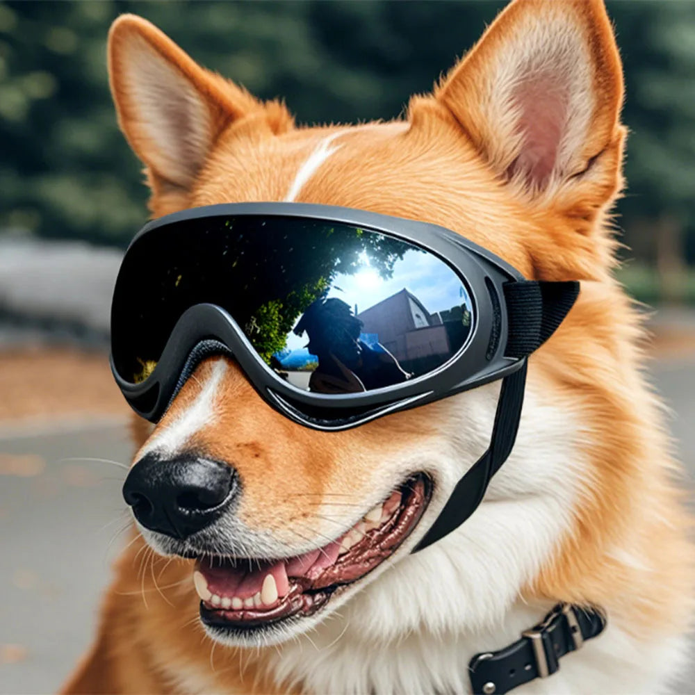 Dog Goggles Medium/Small (UV pro)