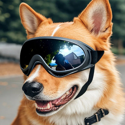 Dog Goggles Medium/Small (UV pro)