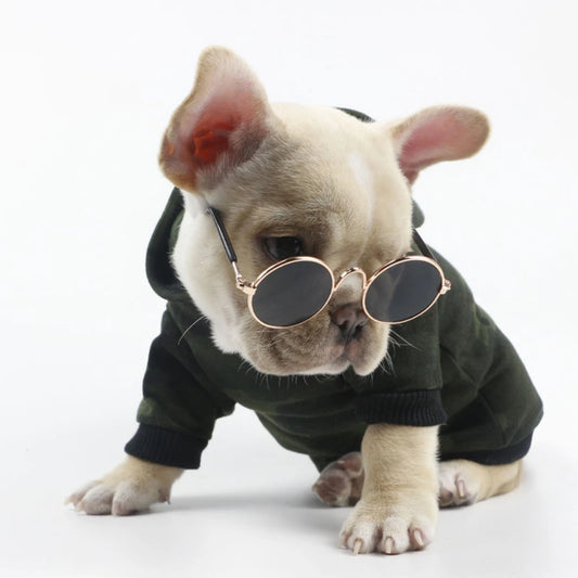  Sunglasses (Pet Edition)