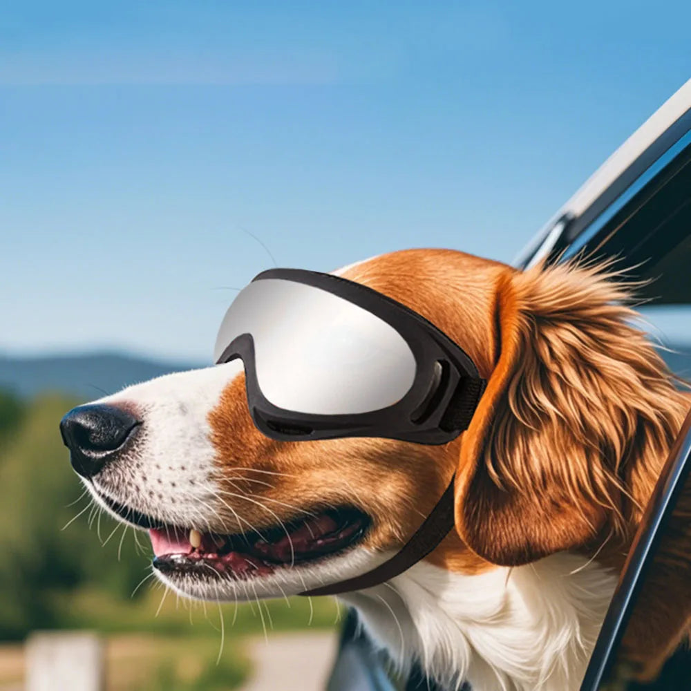 Dog Goggles Medium/Small (UV pro)