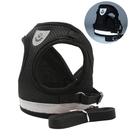 Harness Set Leash Carrier (XS - XL Pets)