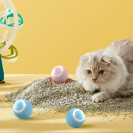 Smart Ball Cat Interactive Toy  