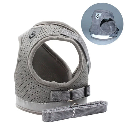 Harness Set Leash Carrier (XS - XL Pets)