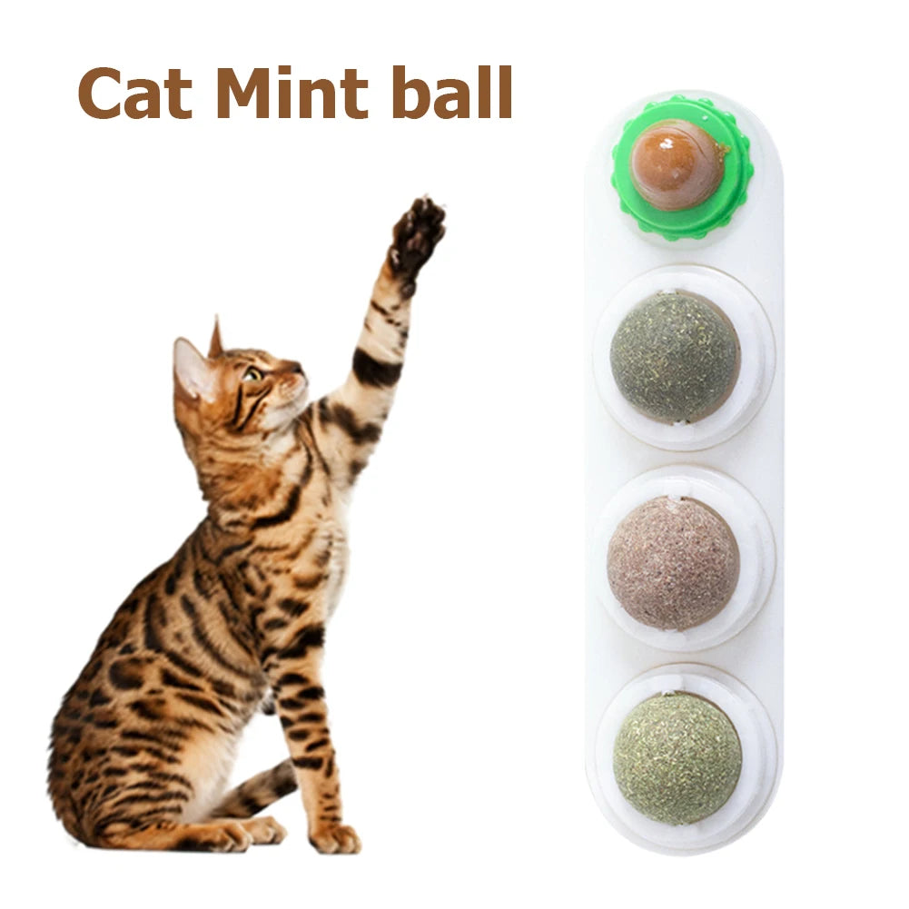 Catnip Ball Set 