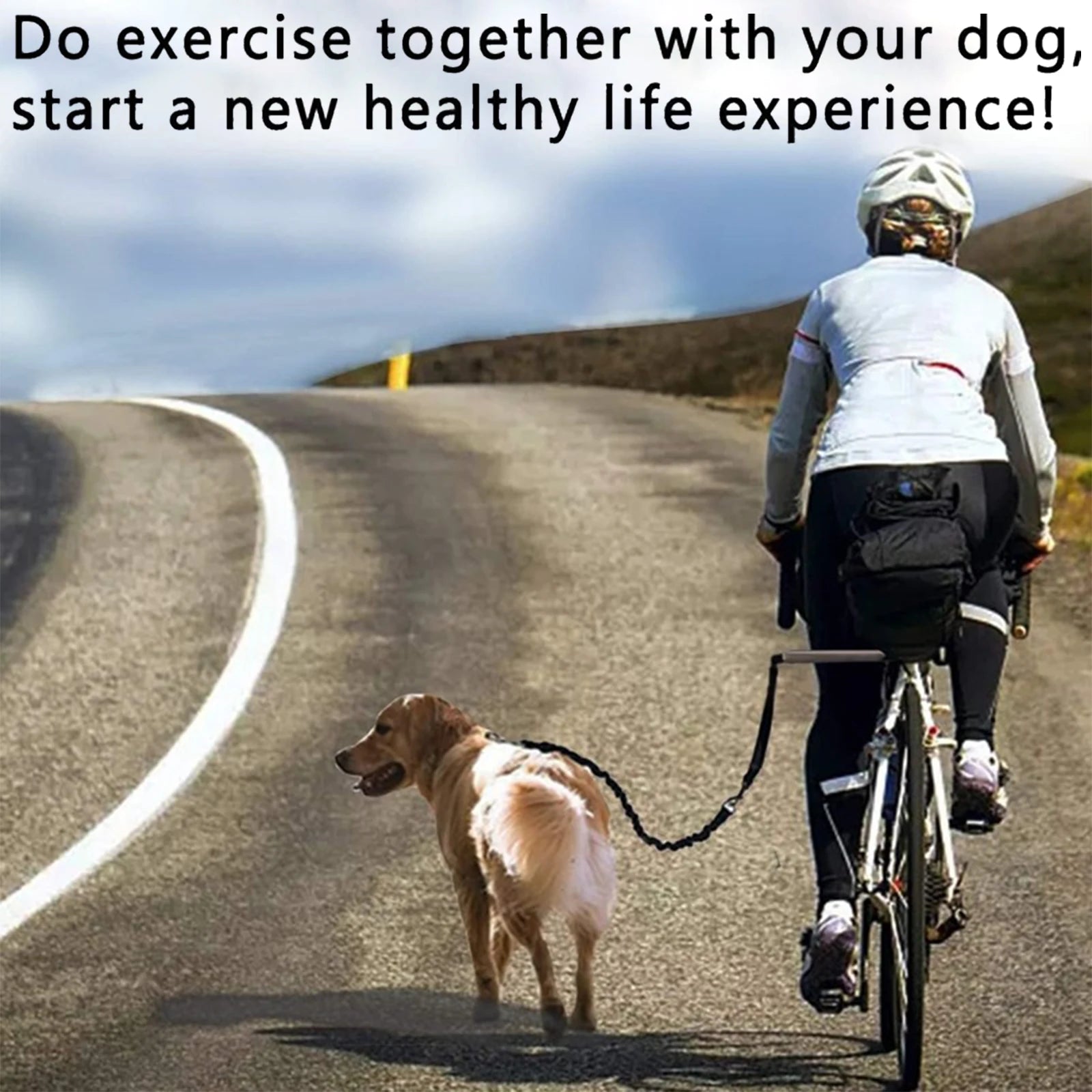 Retractable Bicycle Dog Leash (Hand Free)
