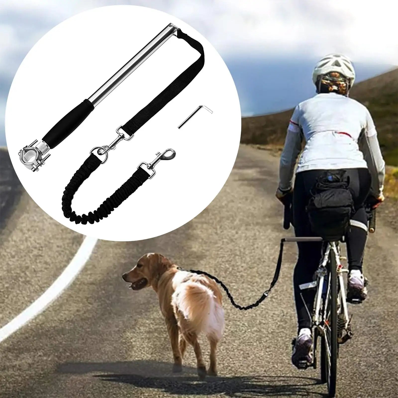 Retractable Bicycle Dog Leash (Hand Free)
