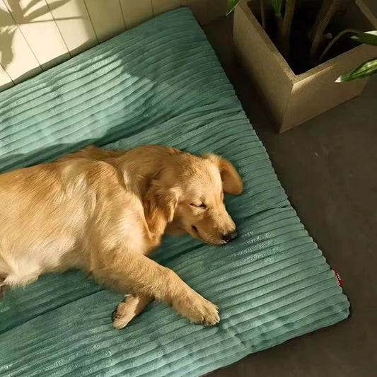 Big Dog Mat Corduroy Pad for Medium or Large Dogs (Washable / Removable)