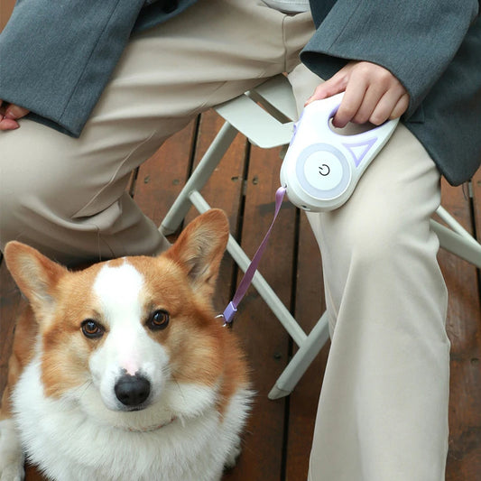  Dog Leash Light Retractable (3&5M)