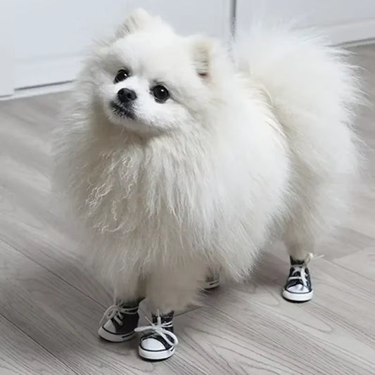 4 Pcs Anti-Skidding Olds'Starzzz Shoes 