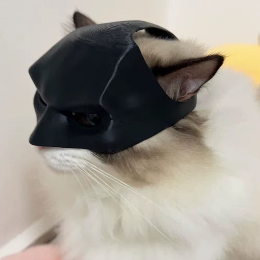 Bat Cat (Batman Mask)